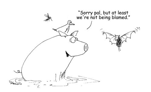 "Sorry pal, but at least we're not being blamed." (pig, bird, and mosquito talking to a bat about virus blame)