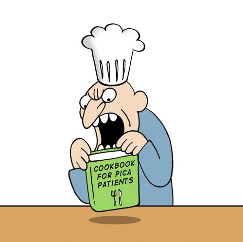 cookbook for pica patients