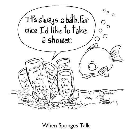 When Sponges Talk