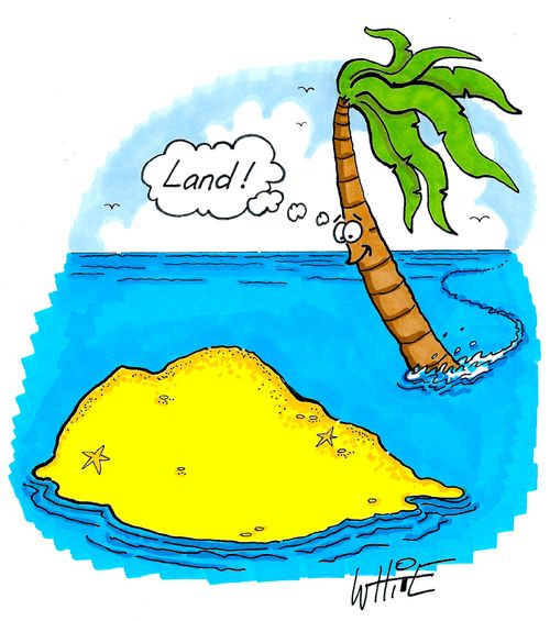 land..!