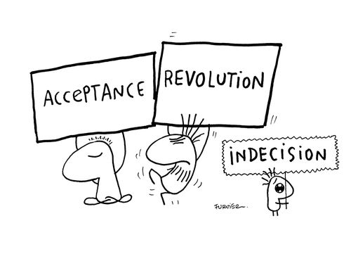 Acceptance, revolution, indecision 