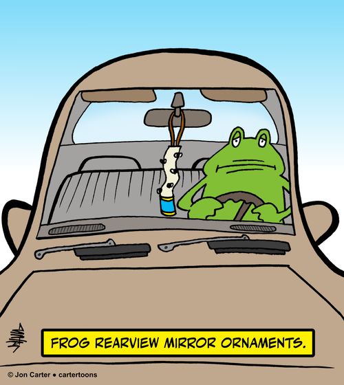 Frog rearview mirror ornaments.