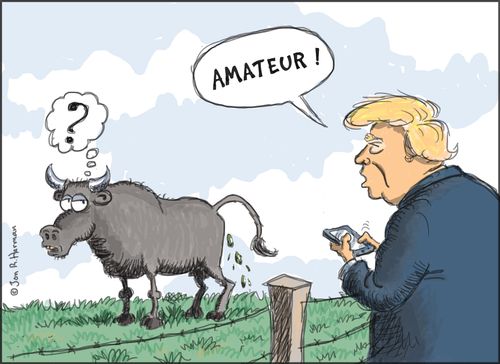 "Amateur!"