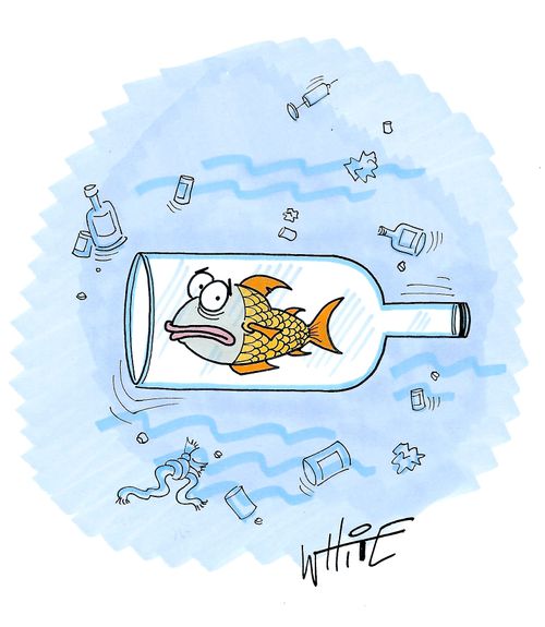 fish in a bottle...