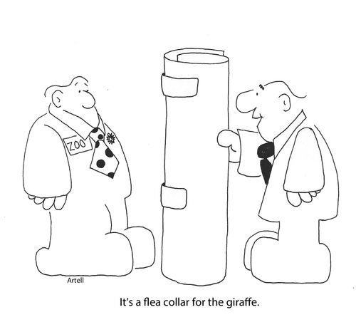 It's a flea collar for the giraffe.