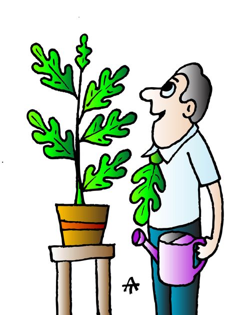 Man wears part of a plant as a tie.