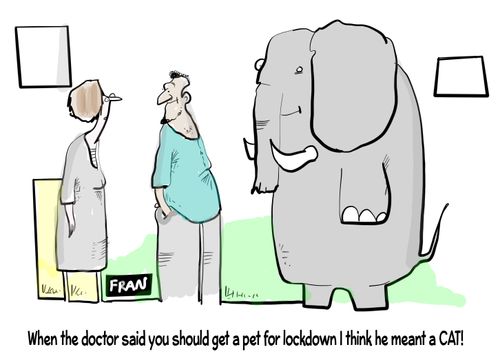 "When the doctor said you should get a pet for lockdown I think he meant a cat!"