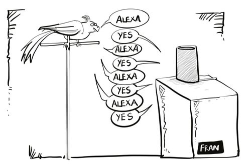 Alexa
