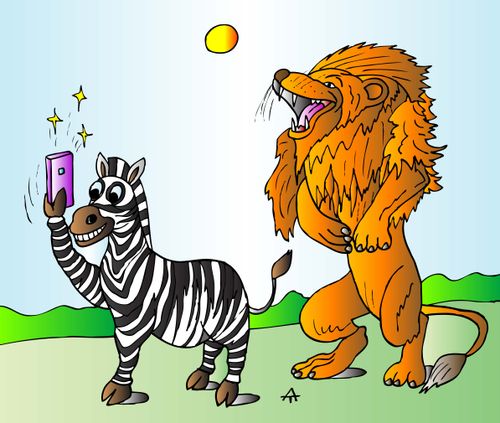 A zebra and a lion taking a selfie