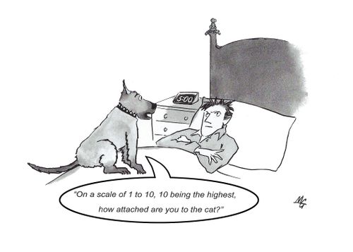 "On a scale of 1 to 10, 10 being the highest, how attached are you to the cat?"
