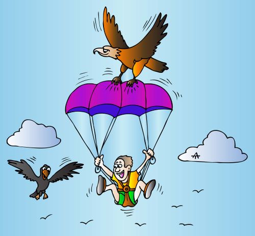 An eagle attacks a parachute