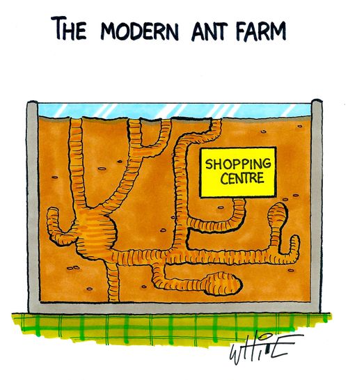 The Modern Ant Farm.