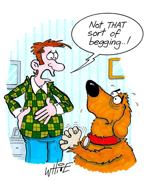"Not THAT sort of begging..!"
