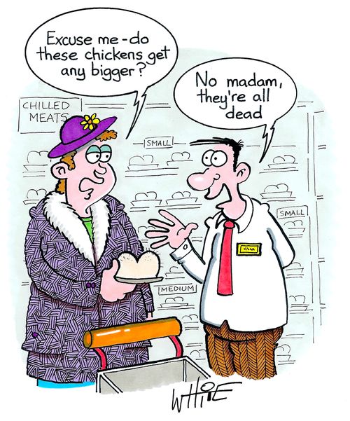 "Excuse me - do these chickens get any bigger?"
