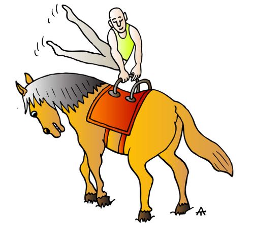 Pommel horse
