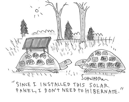"Since I installed this solar panel, I don't need to hibernate."