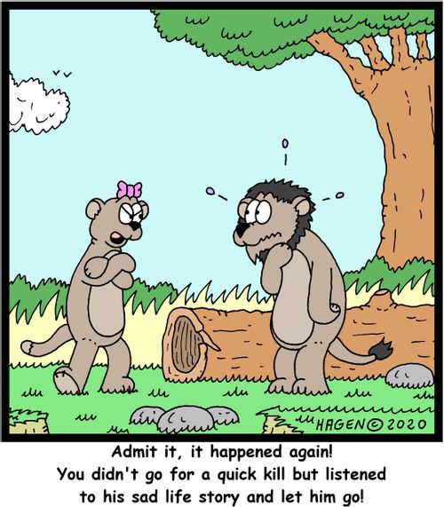 "Admit it, it happened again! You didn't go for a quick kill but listened to his sad life story and let him go!"