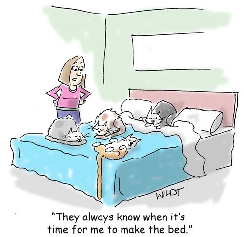 "They always know when it's time to make the bed."