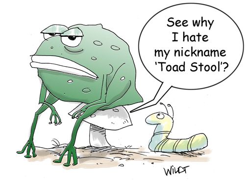 "See why I hate my nickname 'Toad Stool'?"