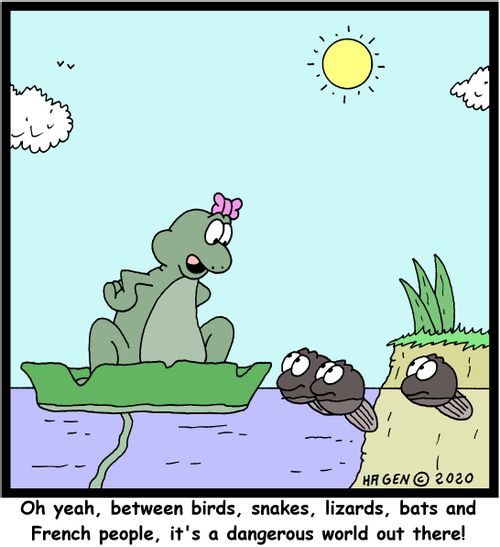 "Oh yeah, between birds, snakes, lizards, bats and French people, it's a dangerous world out there!"