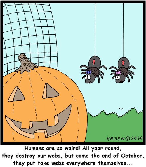 "Humans are so weird! All year round, they destroy our webs, but come the end of October, they put fake webs everywhere themselves..."