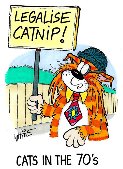Cat protests, with sign reading 'Legalise catnip!'.