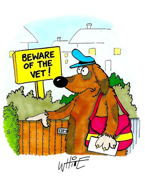 Dog postman delivers to house with sign reading 'Beware of the vet!".