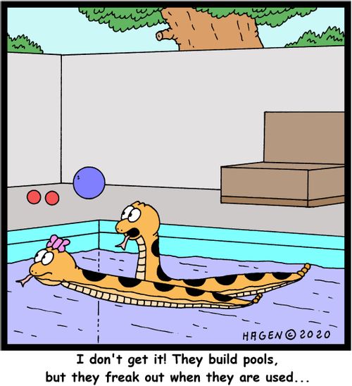 "I don't get it! They build pools, but they freak out when they are used..."