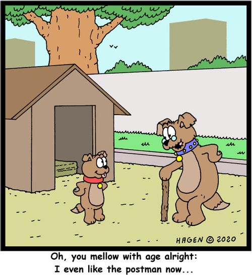 "Oh, you mellow with age alright: I even like the postman now..."