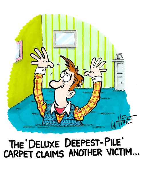 The 'Deluxe Deepest-Pile' carpet claims another victim...