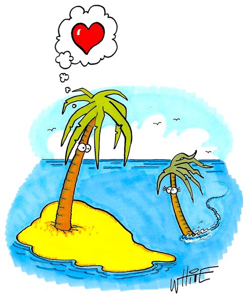 Palm tree in love...