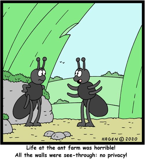 "Life at the ant farm was horrible! All the walls were see-through: no privacy!"