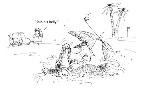 "Rub his belly." 