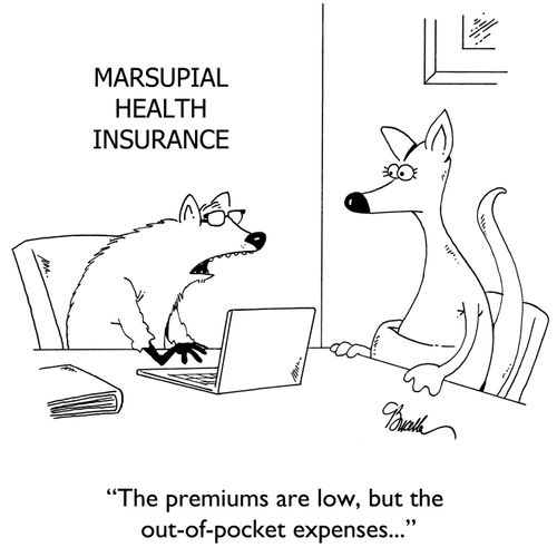 "The premiums are low, but the out-of-pocket expenses..."