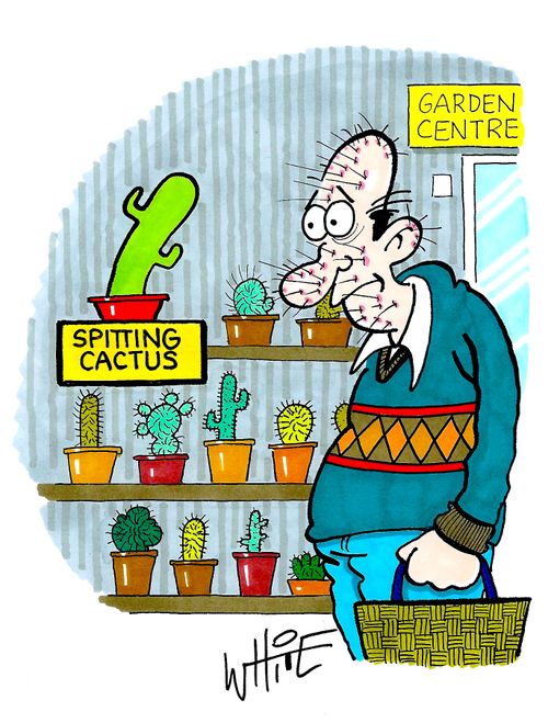 the spitting cactus...