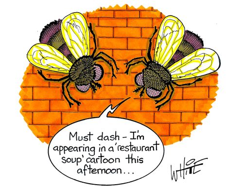 "Must dash - I'm appearing in a 'restaurant soup' cartoon this afternoon..."