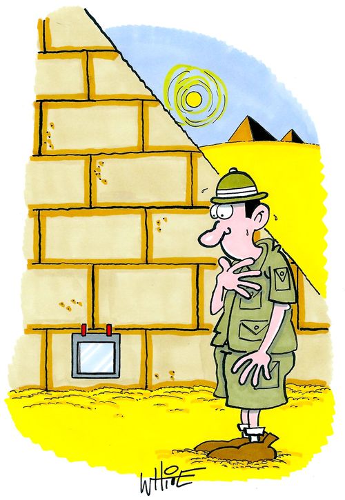 Pyramid catflap...