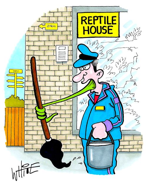 Mopping up outside the reptile house...