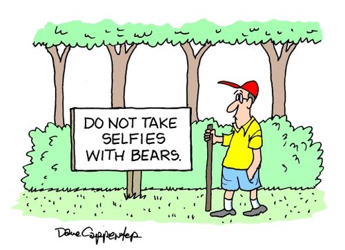 Do not take selfies with bears.
