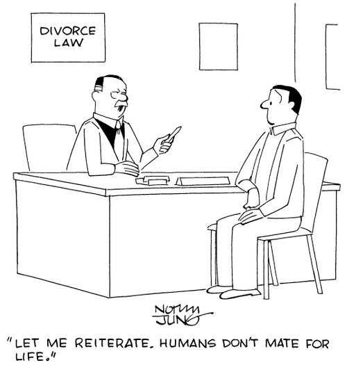 "Let me reiterate. Humans don't mate for life."