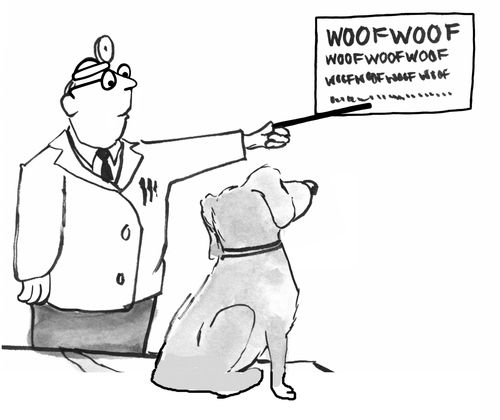 Dog is given eye exam with ever shrinking letters that spell the word WOOF