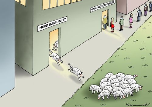 Herd immunity