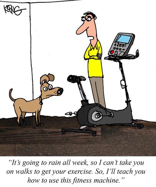 "It's going to rain all week, so I can't take you on walks to get your exercise. So, I'll teach you how to use this fitness machine."