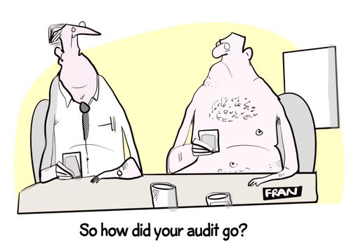 "So how did your audit go?"