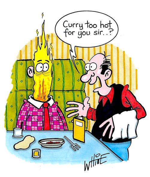 "Curry too hot for you sir..?"