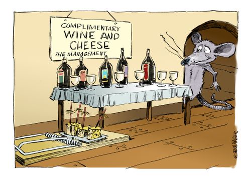 Complementary wine and cheese
