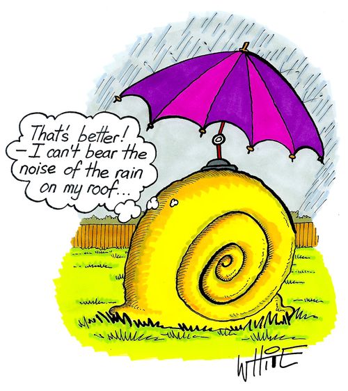 "That's better! - I can't bear the noise of the rain on my roof..."