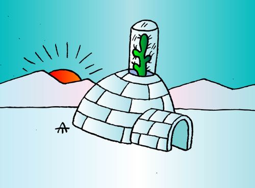 A cactus growing on an igloo