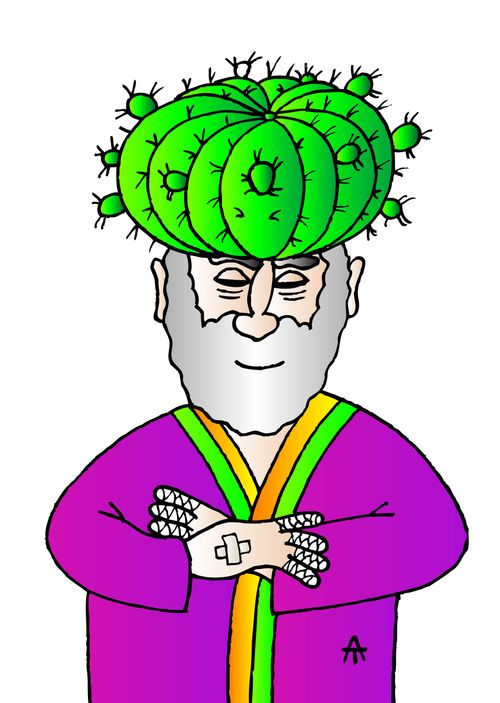 A man with a cactus hat