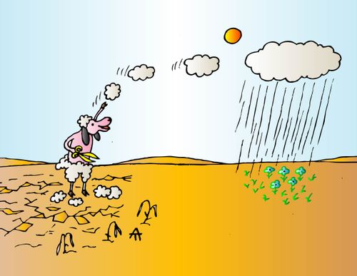 A sheep shaves their wool to create a rain cloud 